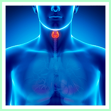 Thyroid dysfunction